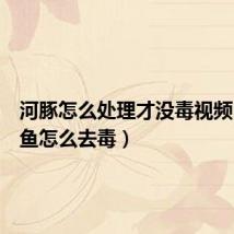 河豚怎么处理才没毒视频(河豚鱼怎么去毒)