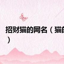 招财猫的网名（猫的网名）