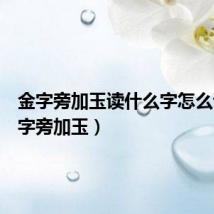 金字旁加玉读什么字怎么读(金字旁加玉)