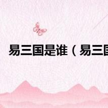 易三国是谁（易三国）