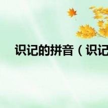 识记的拼音（识记）