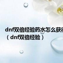 dnf双倍经验药水怎么获得2023(dnf双倍经验)