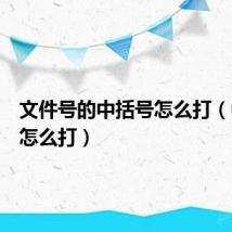 文件号的中括号怎么打(中括号怎么打)