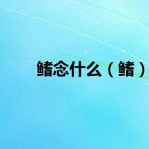 鳍念什么（鳍）