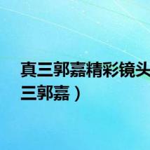 真三郭嘉精彩镜头（真三郭嘉）