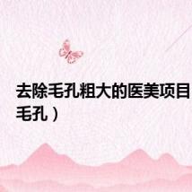 去除毛孔粗大的医美项目（去除毛孔）