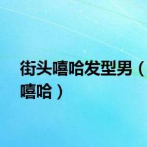 街头嘻哈发型男（街头嘻哈）