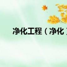 净化工程（净化）