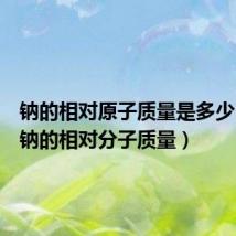 钠的相对原子质量是多少(硫酸钠的相对分子质量)