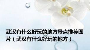 武汉有什么好玩的地方景点推荐图片（武汉有什么好玩的地方）
