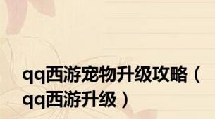 qq西游宠物升级攻略（qq西游升级）