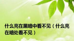 什么亮在黑暗中看不见（什么亮在暗处看不见）