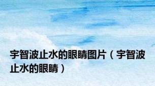 宇智波止水的眼睛图片（宇智波止水的眼睛）