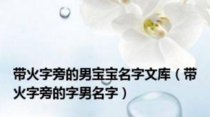 带火字旁的男宝宝名字文库（带火字旁的字男名字）
