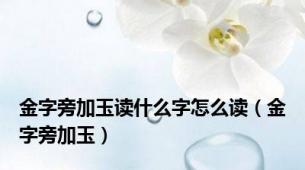 金字旁加玉读什么字怎么读（金字旁加玉）