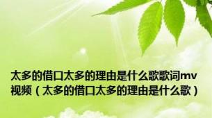 太多的借口太多的理由是什么歌歌词mv视频（太多的借口太多的理由是什么歌）