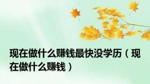 现在做什么赚钱最快没学历（现在做什么赚钱）