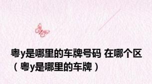 粤y是哪里的车牌号码 在哪个区（粤y是哪里的车牌）