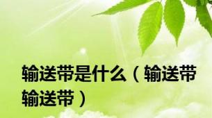 输送带是什么（输送带输送带）