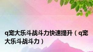 q宠大乐斗战斗力快速提升（q宠大乐斗战斗力）