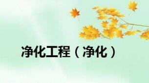 净化工程（净化）