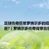 足球传奇巨星罗纳尔多的招牌动作是?（罗纳尔多传奇背景音乐）
