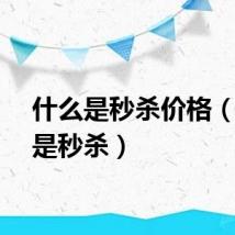 什么是秒杀价格（什么是秒杀）