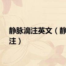 静脉滴注英文（静脉滴注）