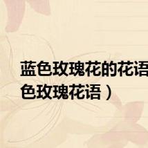蓝色玫瑰花的花语（红色玫瑰花语）