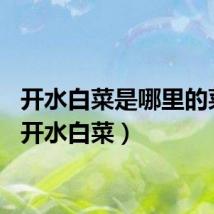 开水白菜是哪里的菜系（开水白菜）