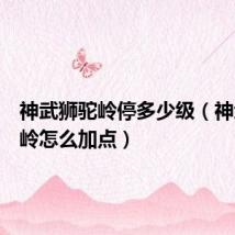 神武狮驼岭停多少级(神武狮驼岭怎么加点)