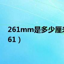 261mm是多少厘米(261)