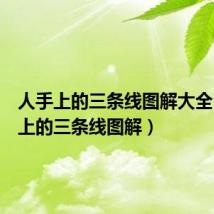人手上的三条线图解大全(人手上的三条线图解)