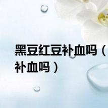 黑豆红豆补血吗（红豆补血吗）