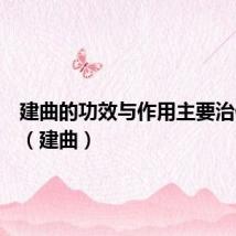 建曲的功效与作用主要治什么病(建曲)
