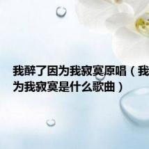 我醉了因为我寂寞原唱(我醉了因为我寂寞是什么歌曲)