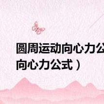 圆周运动向心力公式(向心力公式)