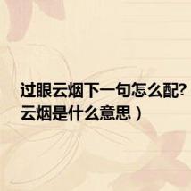 过眼云烟下一句怎么配?(过眼云烟是什么意思)