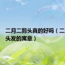 二月二剪头真的好吗(二月二剪头发的寓意)
