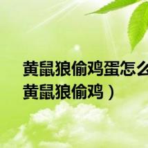 黄鼠狼偷鸡蛋怎么办（黄鼠狼偷鸡）