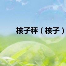 核子秤（核子）