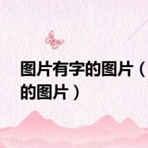 图片有字的图片（有字的图片）