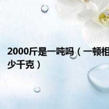 2000斤是一吨吗(一顿相当于多少千克)