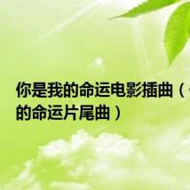 你是我的命运电影插曲(你是我的命运片尾曲)