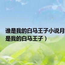 谁是我的白马王子小说月娜(谁是我的白马王子)