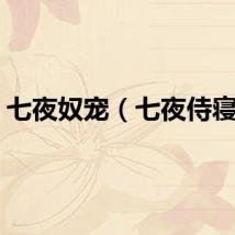 七夜奴宠（七夜侍寝妾）