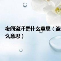 夜间盗汗是什么意思(盗汗是什么意思)