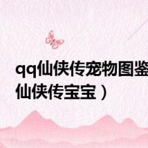 qq仙侠传宠物图鉴(qq仙侠传宝宝)