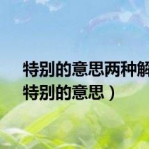特别的意思两种解释（特别的意思）