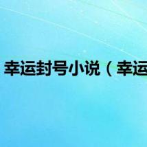 幸运封号小说（幸运封）